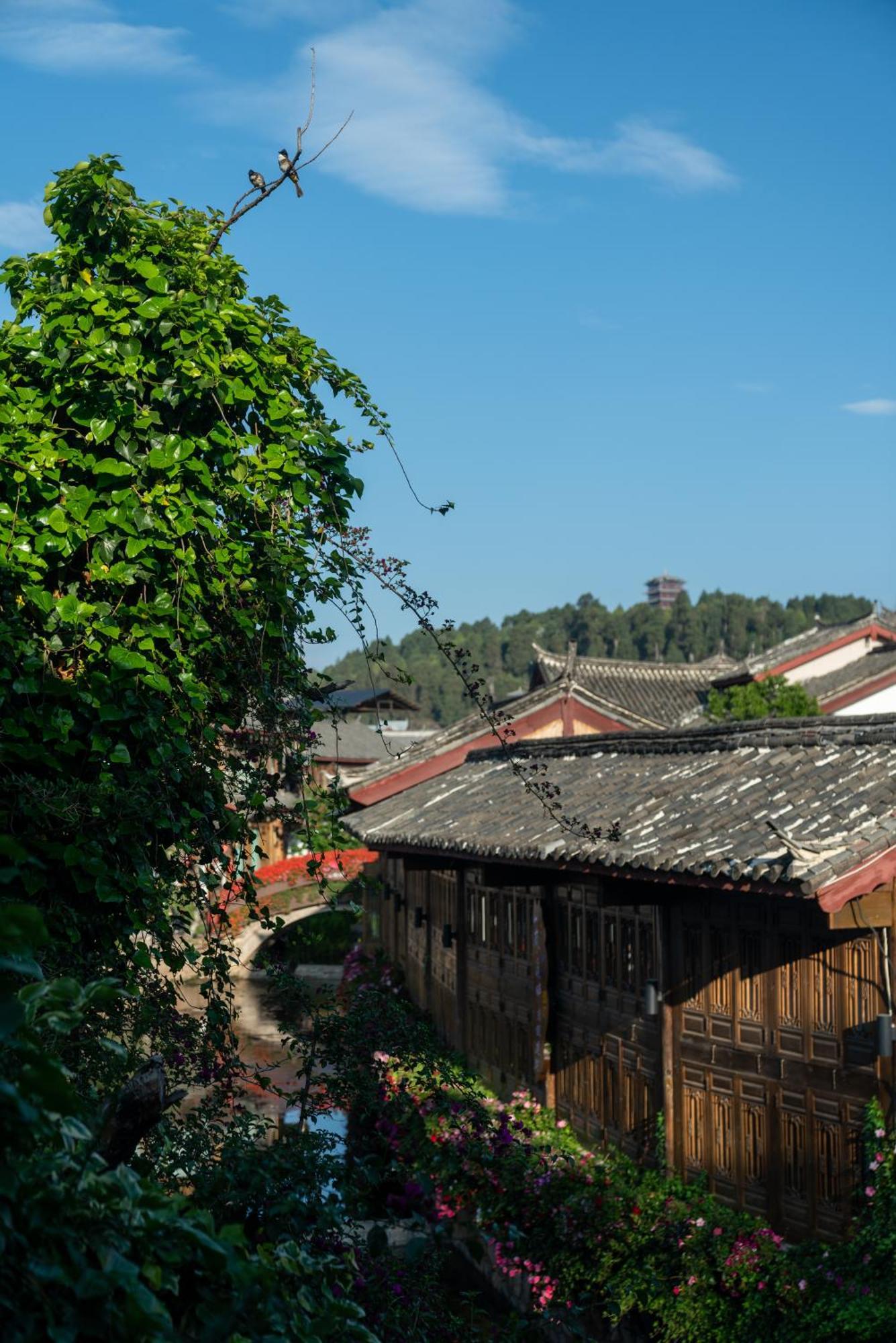 Jun Bo Xuan Boutique Hotel Lijiang  Dış mekan fotoğraf
