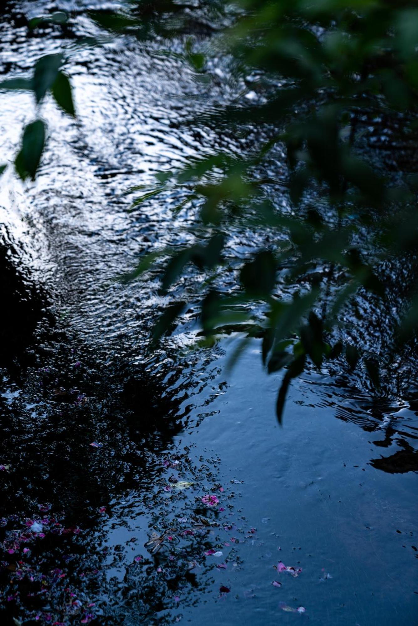 Jun Bo Xuan Boutique Hotel Lijiang  Dış mekan fotoğraf